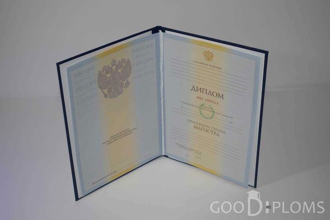 Диплом Магистра в период c 2009 по 2010 год - Винницу