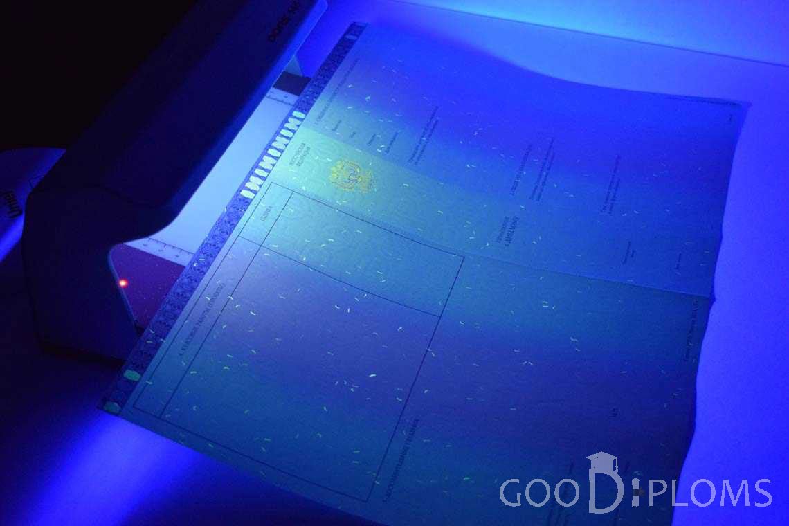 Приложение к Диплому Магистра в Ультрафиолете в период c 2014 по 2025 год - Винницу