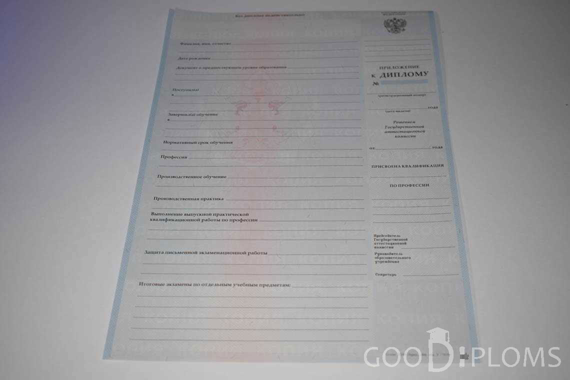 Приложение к Диплому Училища период выдачи 2007-2010  -  Винницу