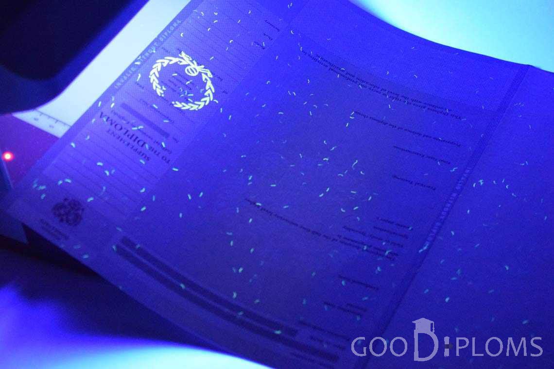 Приложение к Диплому Для Иностранных Граждан в Ультрафиолете - Винницу