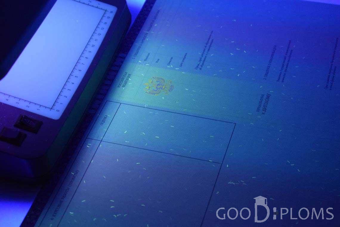 Приложение к Диплому о Высшем Образовании с Отличием в Ультрафиолете - Винницу