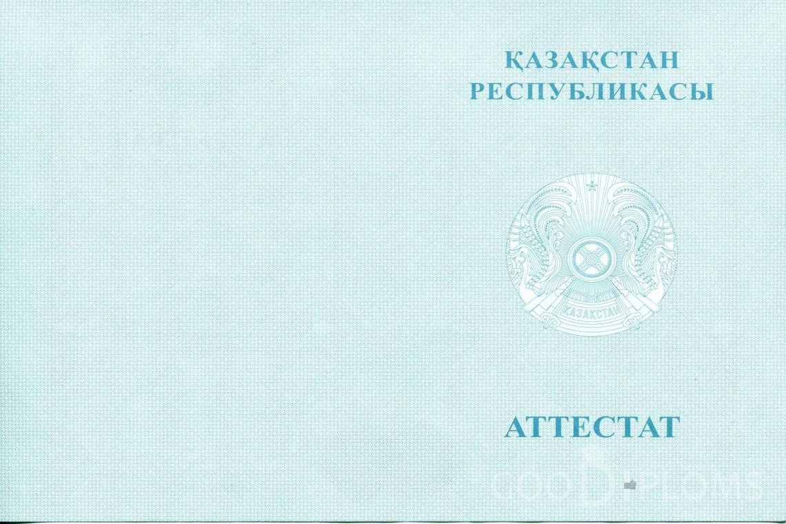 Казахский аттестат за 11 класс - Обратная сторона- Винницу